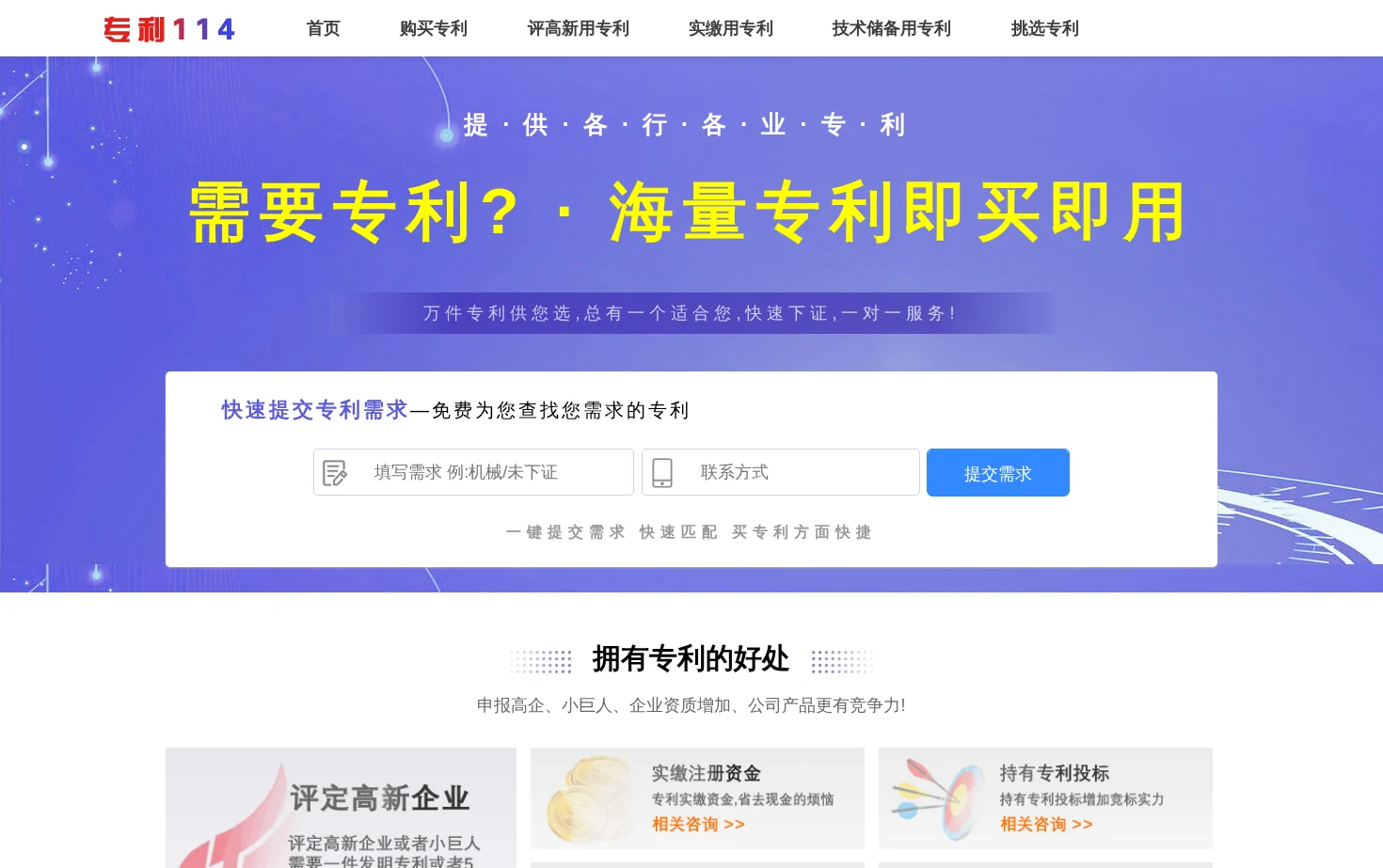 专利114 页面快照
